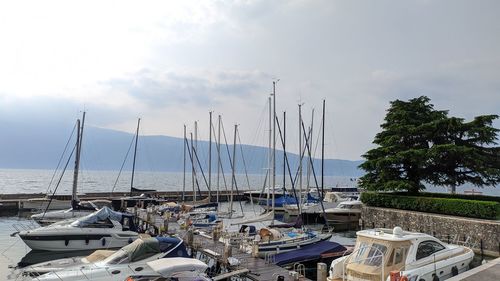 Boats in harbor