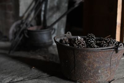 Close-up of potted plant on table