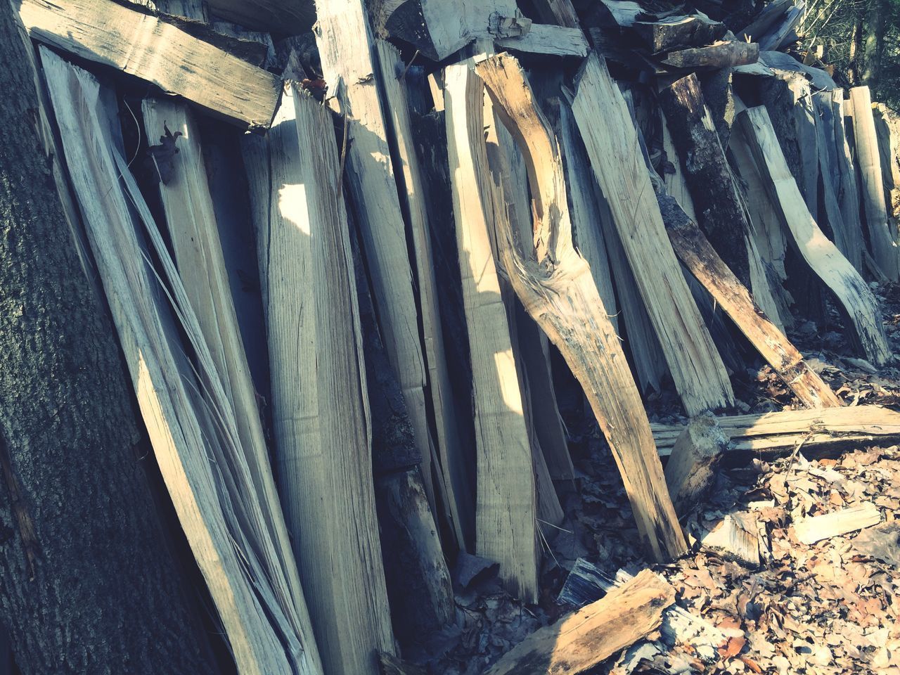 HIGH ANGLE VIEW OF WOOD ON ROCKS