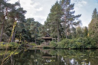 Trees by lake in forest against sky