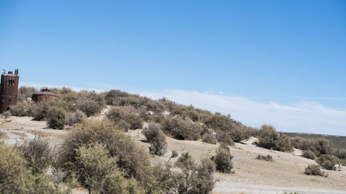 Scenic view of landscape against clear blue sky