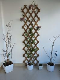 Christmas tree on table against wall at home