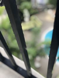 Close-up of metal fence against blurred background