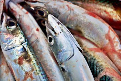 Close-up of fish for sale in market