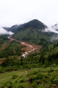 Scenic view of tree mountains against sky