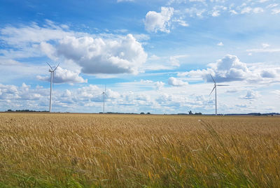 Cloudy day in the countryside