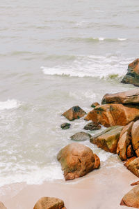 Scenic view of beach