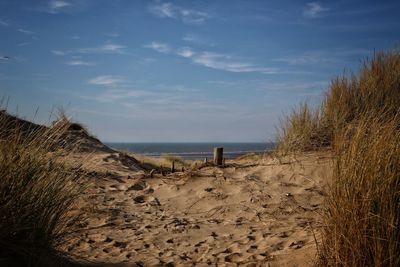 Scenic view of beach against sky