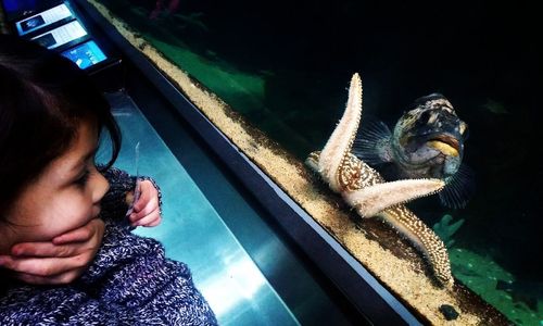 Midsection of boy in aquarium