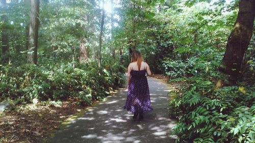 People walking on footpath in forest