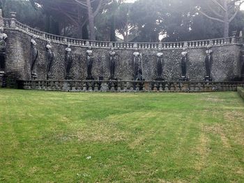 Trees on grassy field