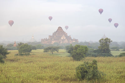 Hot-air balloons flying over dhammayangyi temple (bagan)