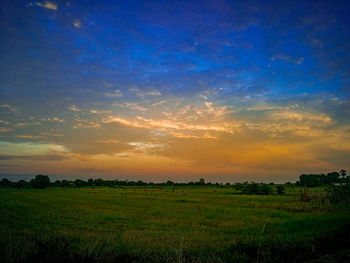 Scenic view of field against sky during sunset