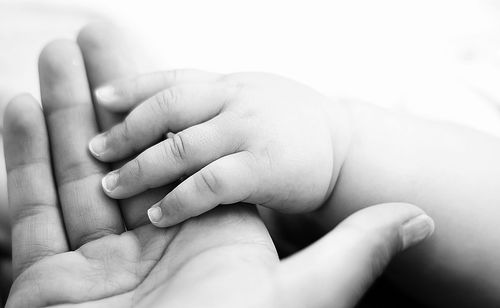 Close-up of baby holding hands