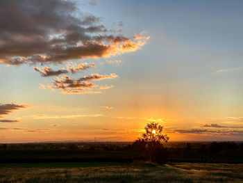 Silhouette tree on field against sky during sunset