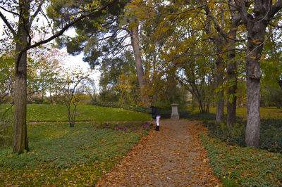 People walking on footpath in forest