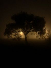 Silhouette trees on landscape against sky at night