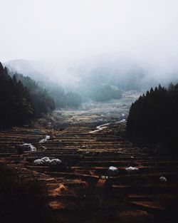 Scenic view of landscape against sky