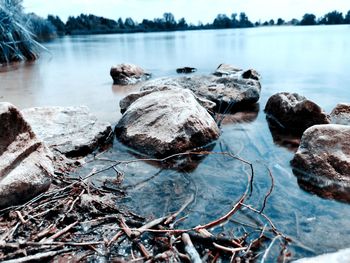 Close-up of rocks in water