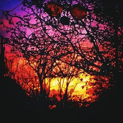 Bare trees against sky at sunset