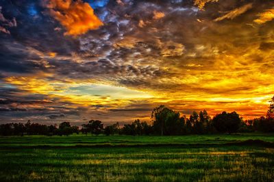 Scenic view of field against sky during sunset