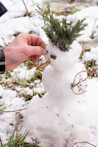 Close-up of hand holding plant during winter