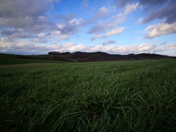 Scenic view of field against sky