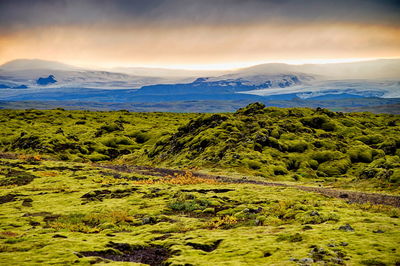 Scenic view of landscape against sky at sunset