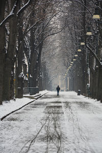 Rear view of person walking on snow covered road