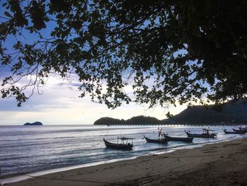 Scenic view of wooden boats moored on beach