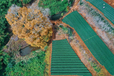 High angle view of beach