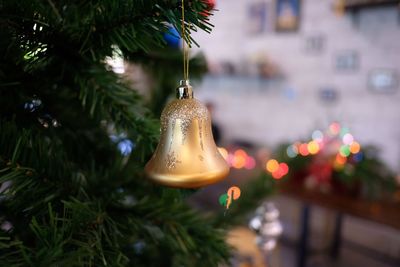 Close-up of christmas tree