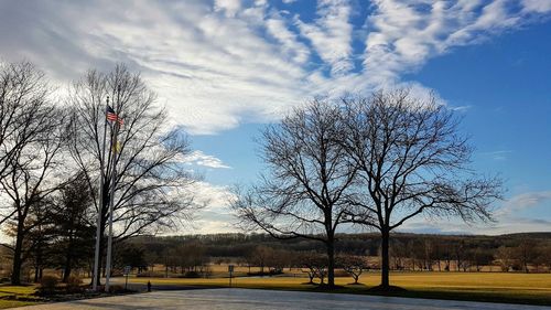 Bare trees on field against sky