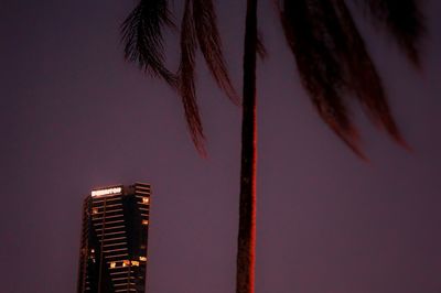 Low angle view of silhouette palm trees against sky at sunset