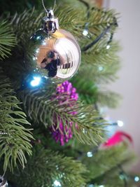 Close-up of illuminated christmas tree