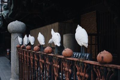 Close-up of birds on wooden railing