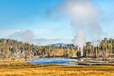 Panoramic shot of trees on landscape against sky