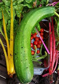 High angle view of vegetables