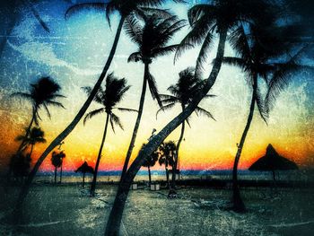 Silhouette trees against sky during sunset