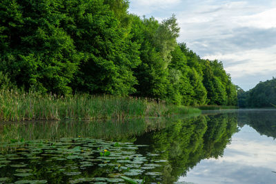 Morning light over langer haussee reflects against the tree on the lake 