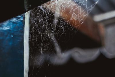 Low angle view of spider web on glass