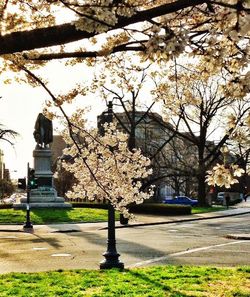 View of building with trees in background