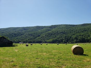 Hay bales on field against sky