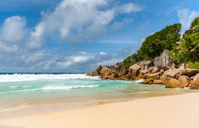 Idyllic tropical beach with sea waves and green palm trees on sunny day in summer.