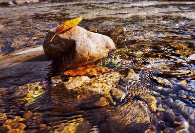 River flowing through rocks
