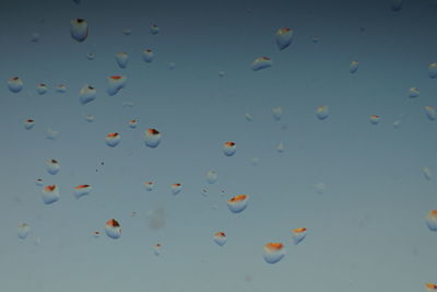 Full frame shot of water drops on the window