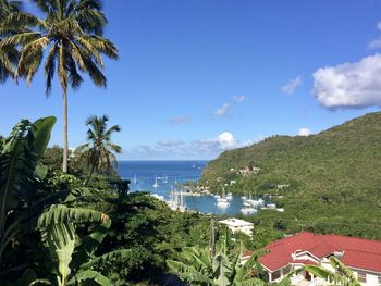 Scenic view of palm trees on beach against sky