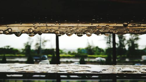 Close-up of water drops on roof against sky