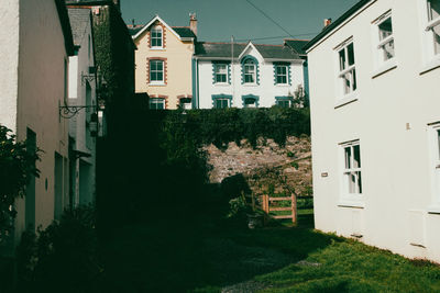 Houses in park