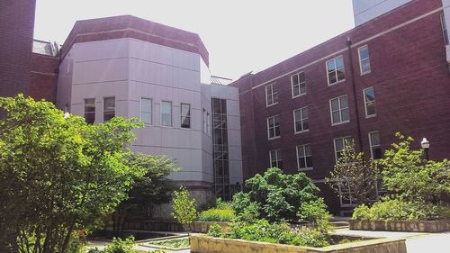 Low angle view of building